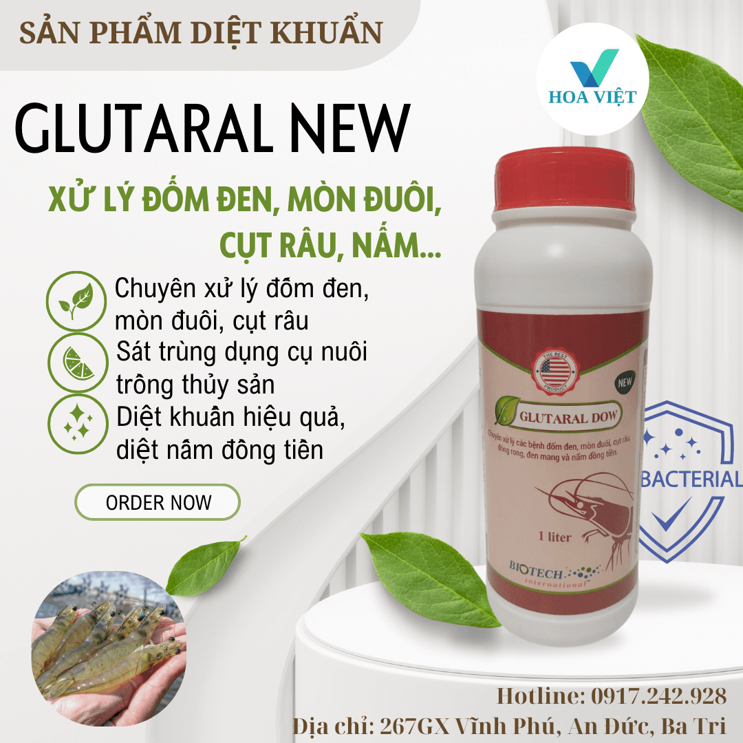 GLUTARAL NEW