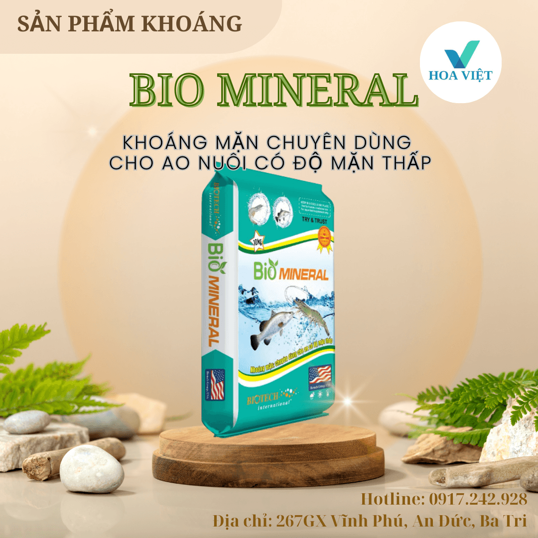 khoáng mặn bio mineral