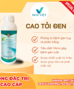 Cao tỏi đen