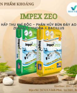 IMPEX ZEO - kết hợp Vi sinh + Yucca + Zeolite chuyên xử lý ao hồ, đáy ao, bùn ao