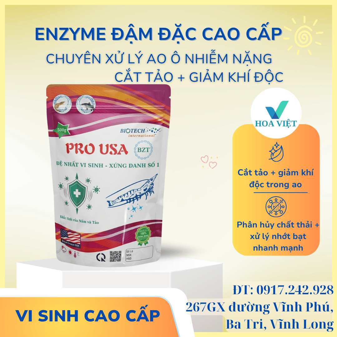 PRO USA BZT - Enzyme đậm đặc cao cấp, chuyên xử lý ao ô nhiễm nặng