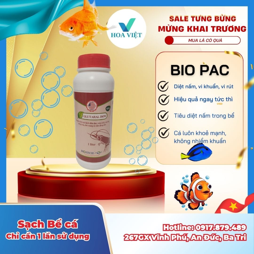 Glutaral Dow - Diệt khuẩn vi rút, vi khuẩn, nấm trên cá cảnh
