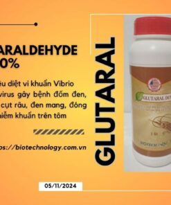 Alternative view of GLUTARAL DOW (CAO CẤP) - Chuyên gia diệt khuẩn số 1, Tiêu diệt Vibrio gây bệnh