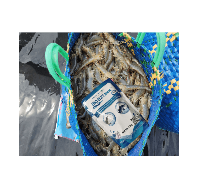 (HOT CHỈ 98K) BIO BZT CLEAR (Bio EM) - Men vi sinh kỵ khí thế hệ mới - Ảnh 4