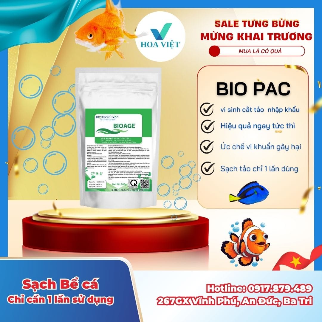 BIOAGE - diệt tảo xảnh, tảo lam trong ao, bể nuôi cá cảnh