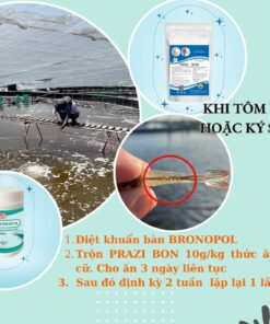 Alternative view of VIKON A (BRONOPOL) - Diệt khuẩn ao nuôi hiệu quả, không gây sốc cá
