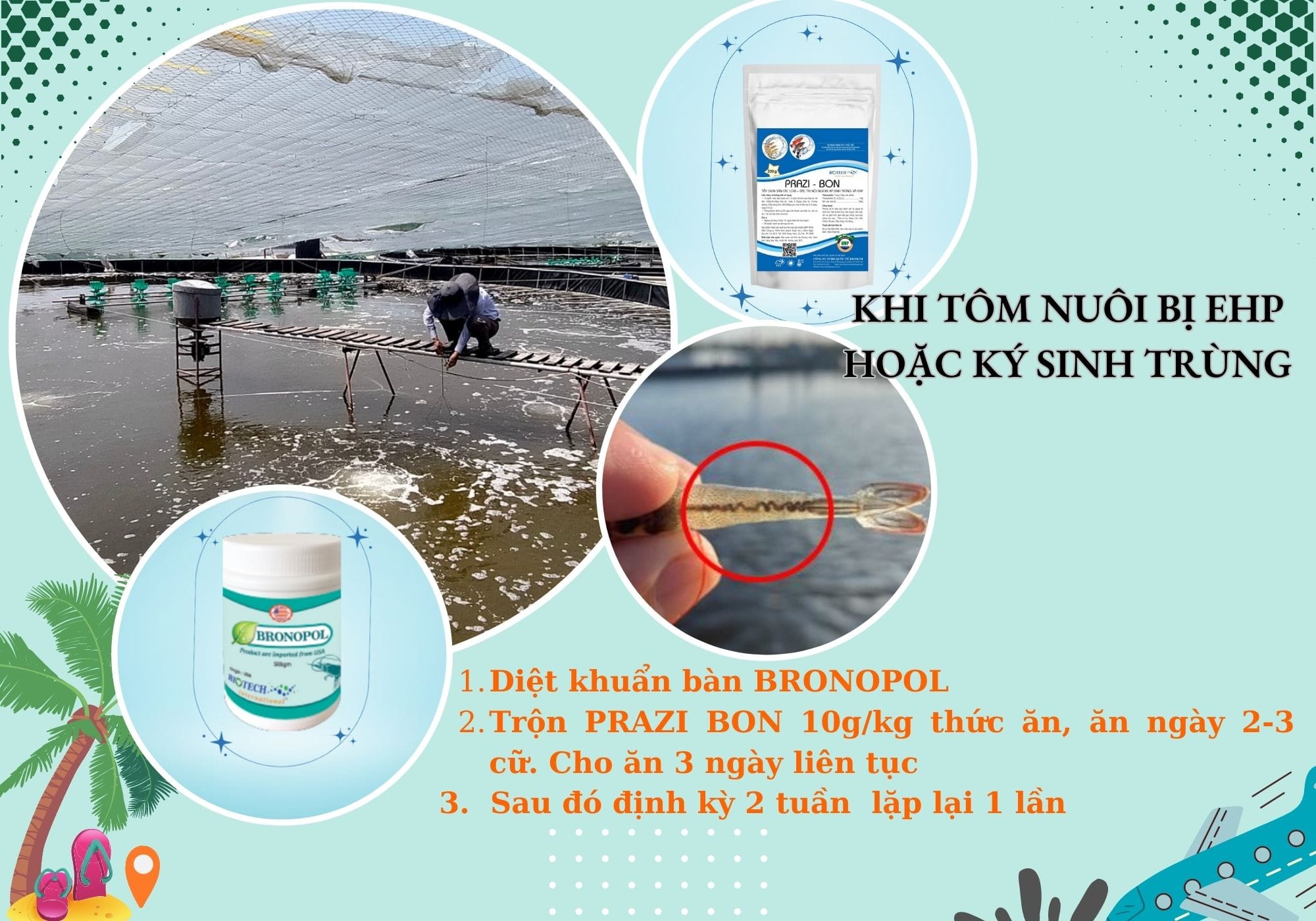 VIKON A (BRONOPOL) - Diệt khuẩn ao nuôi hiệu quả, không gây sốc cá - Ảnh 2
