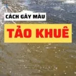 BIOTECH GREEN - GÂY TRÙN CHỈ, ỐC GẠO - Ảnh 3