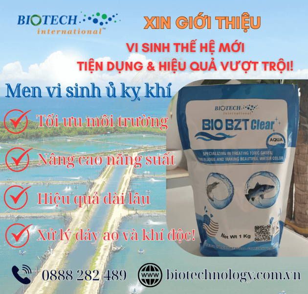(HOT CHỈ 98K) BIO BZT CLEAR (Bio EM) - Men vi sinh kỵ khí thế hệ mới - Ảnh 3