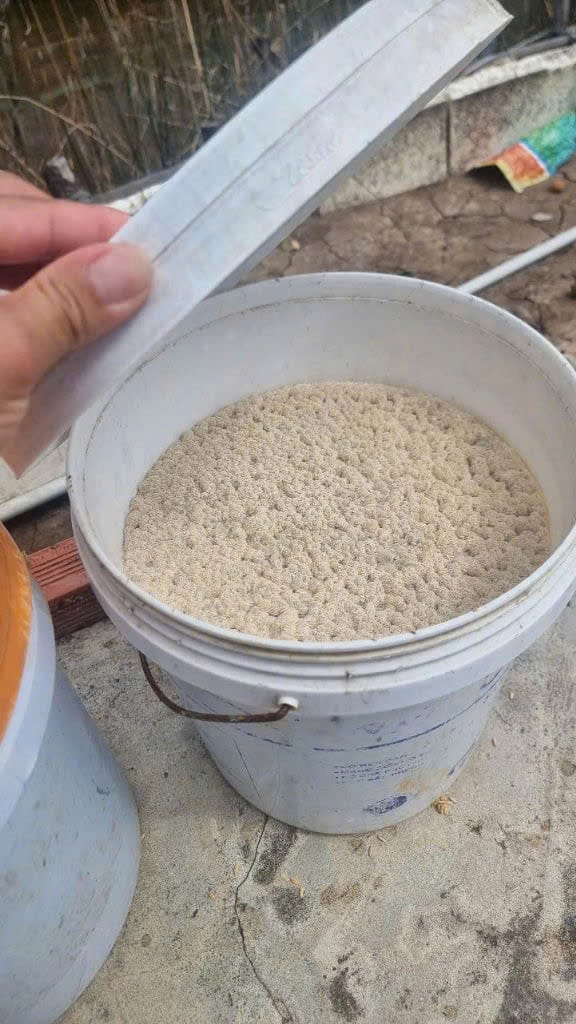 (HOT CHỈ 98K) BIO BZT CLEAR (Bio EM) - Men vi sinh kỵ khí thế hệ mới - Ảnh 6